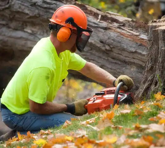 tree services Malvern